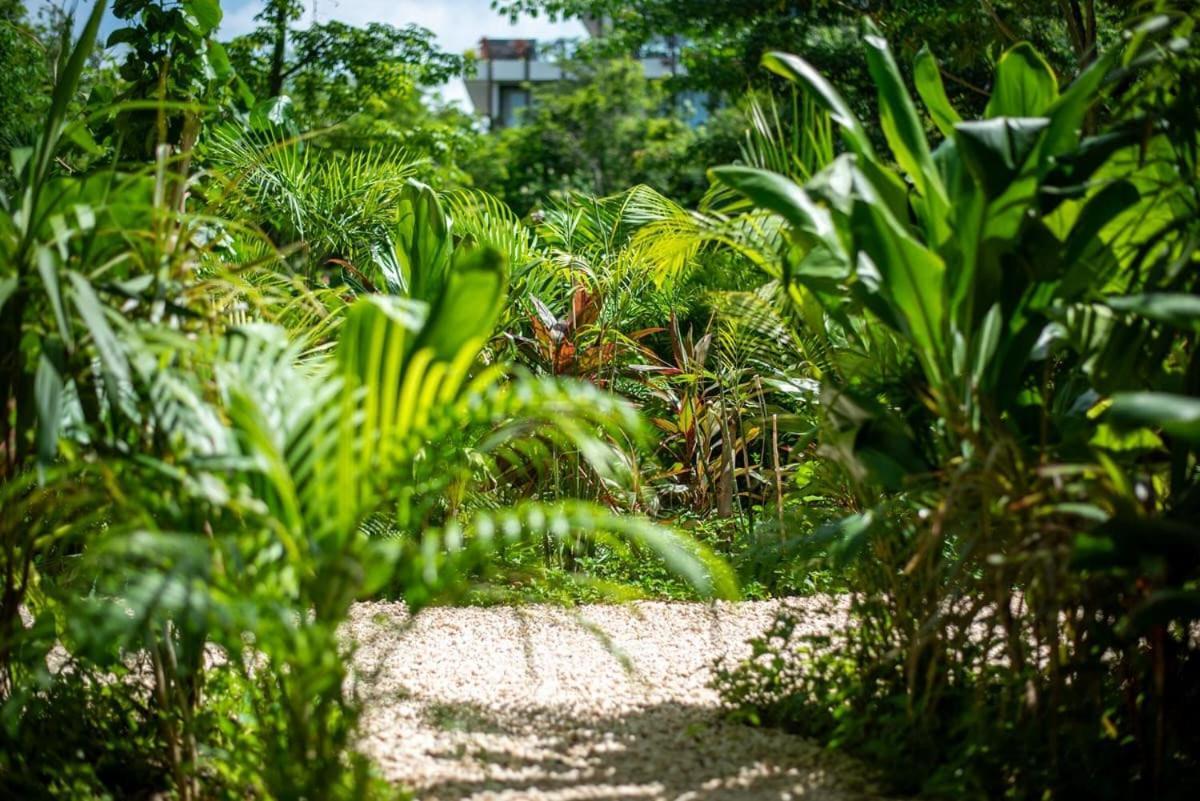 Loft Hermosa At Tulum's Mistiq Temple Ii Beaches Appartamento